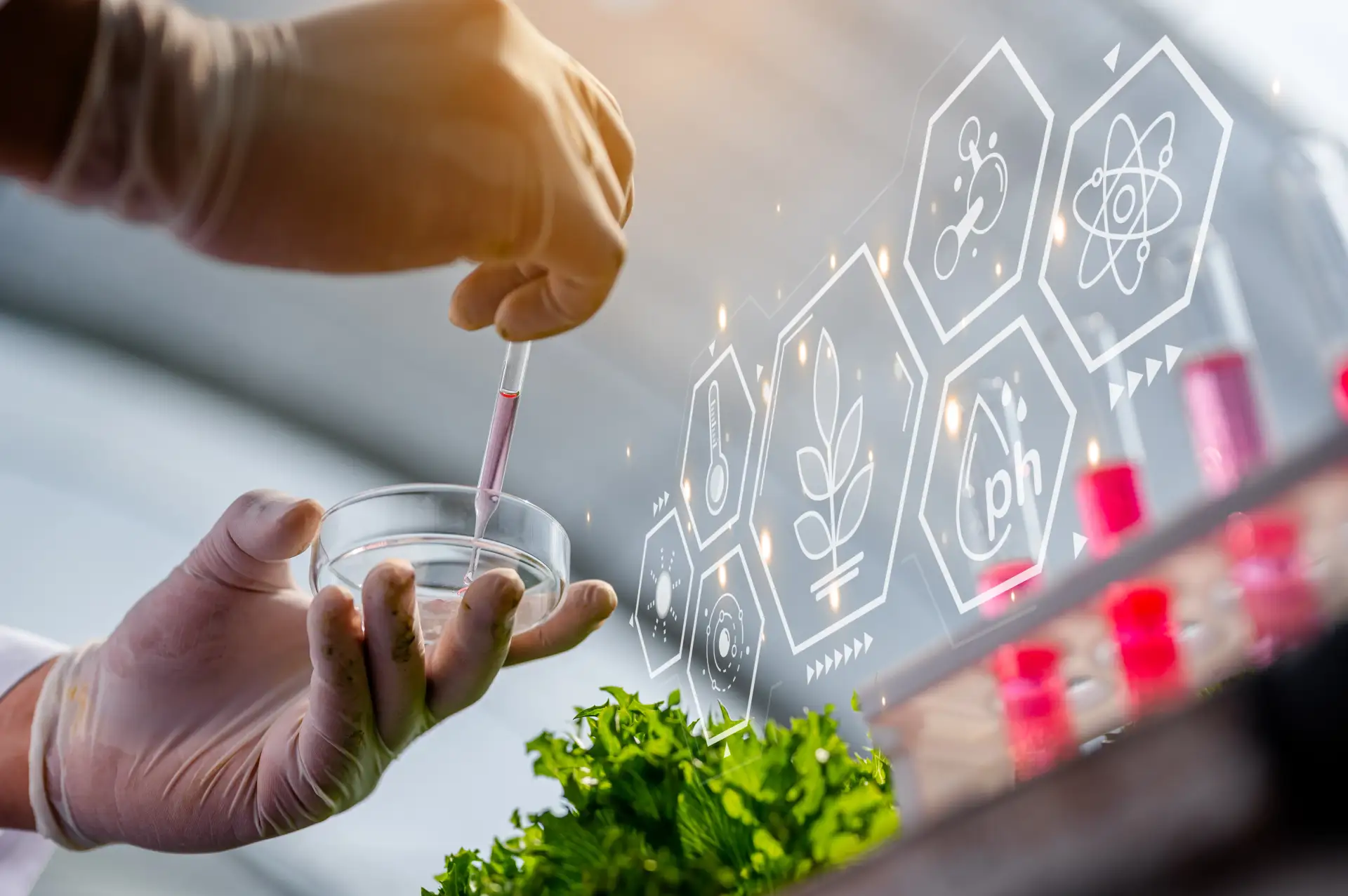 Nutritional Genetic Testing