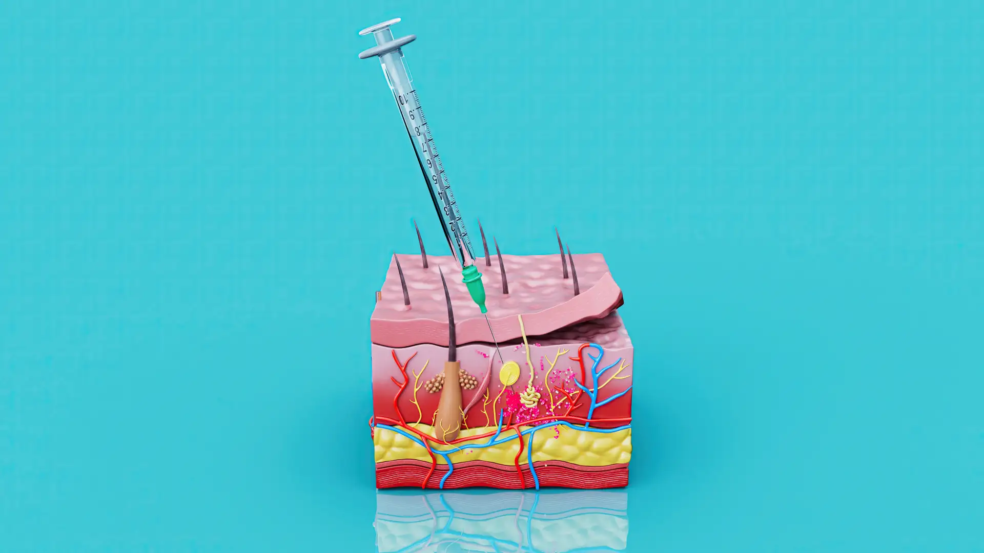 scar-and-tissue-regeneration
