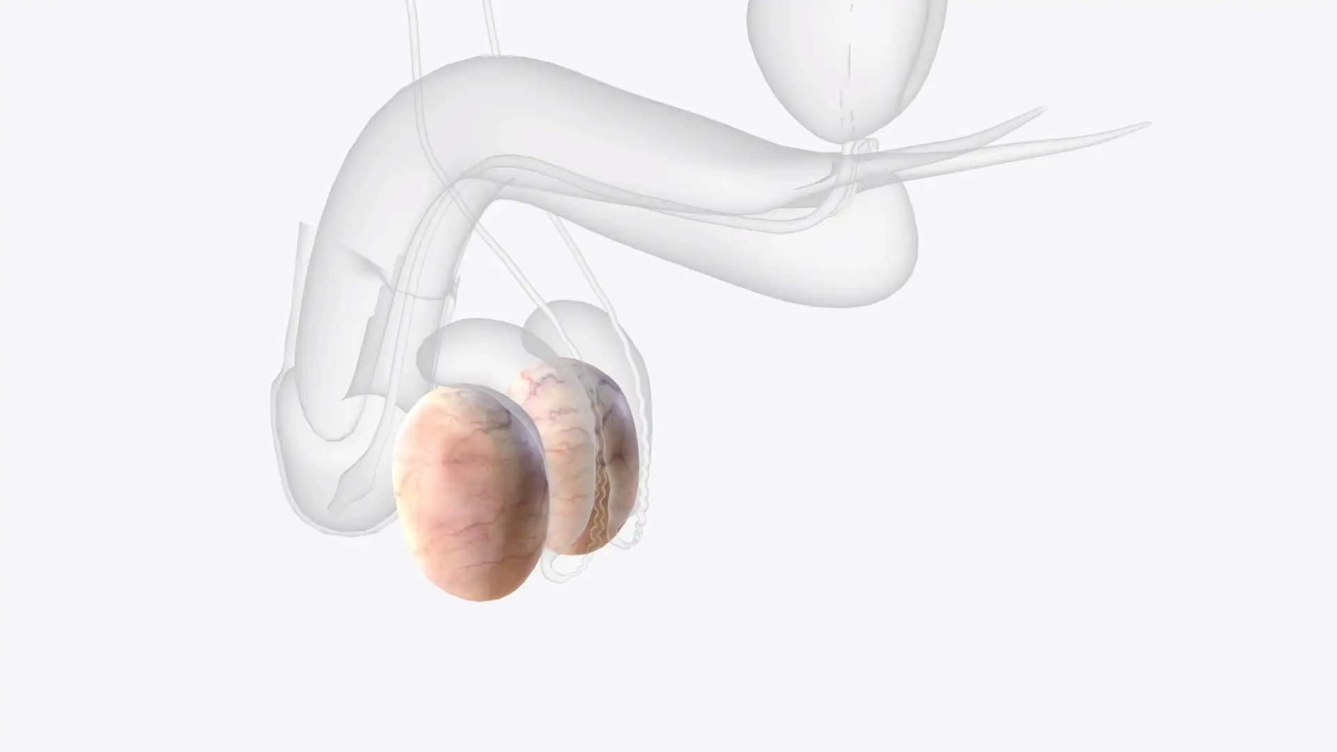benefits-penile-implant