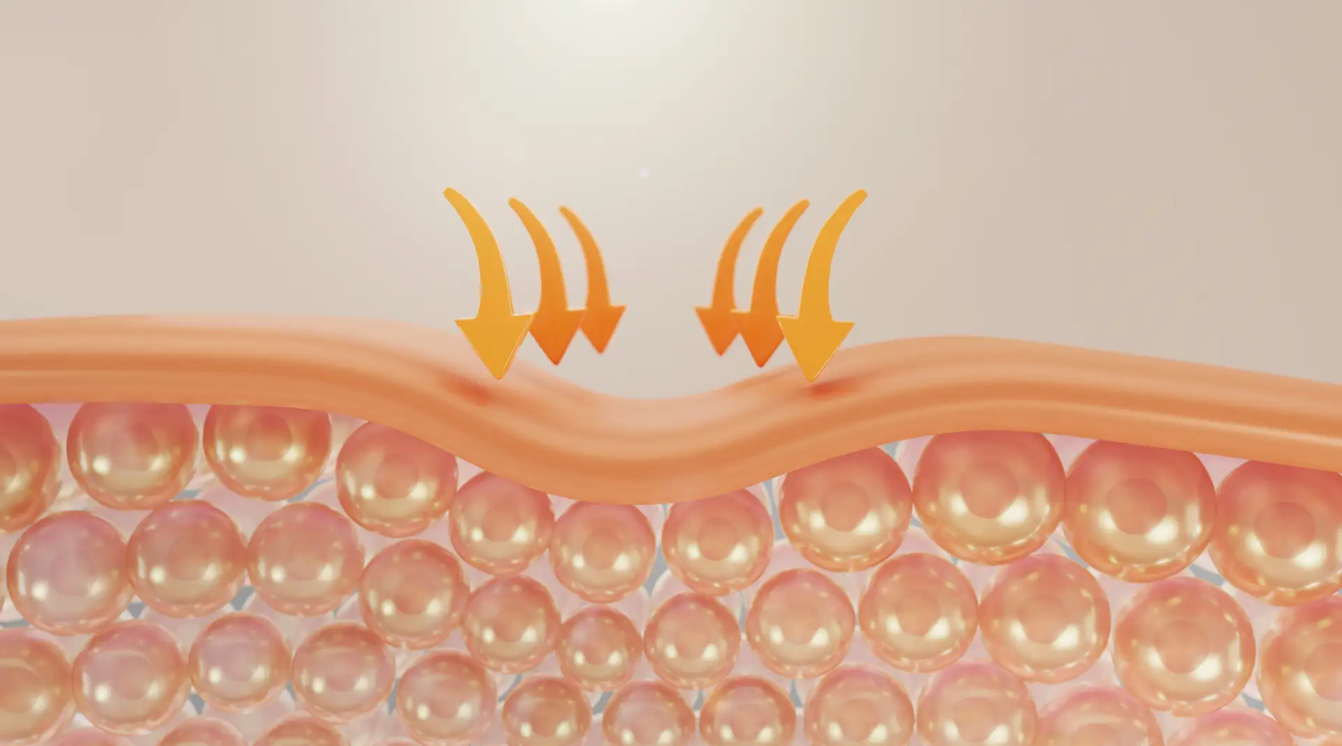 Scar and Tissue Regeneration with Stem Cells